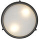 Arlson 2 Light 13 inch Matte Black Indoor Flushmount Ceiling Light